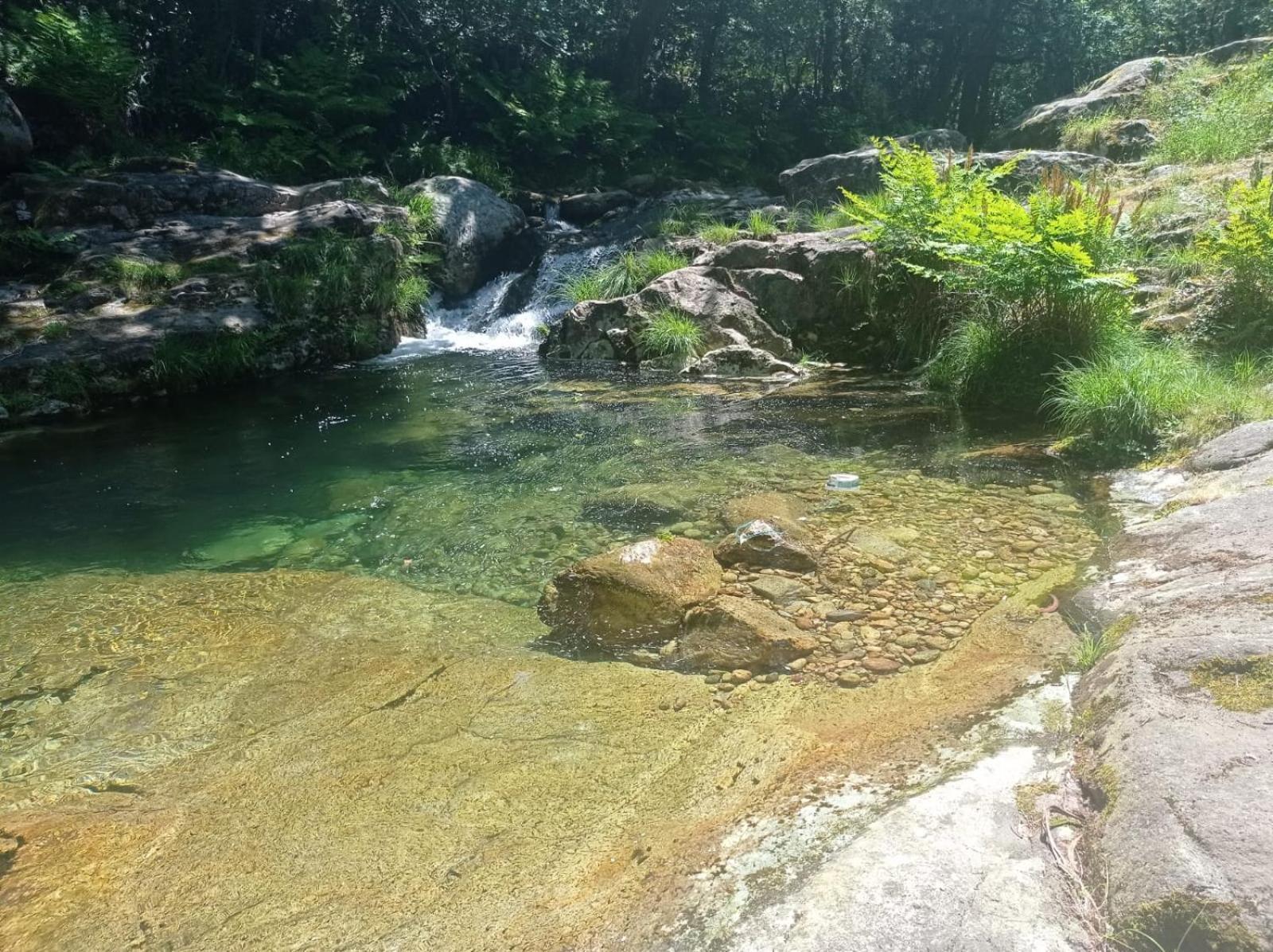 Apartamento Reguino Al Mar A Guarda Rum bild